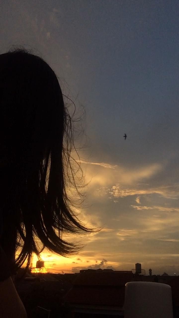 a person is flying a kite in the sky at sunset or dawn with long hair blowing in the wind