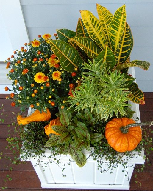 a white planter filled with lots of different types of plants