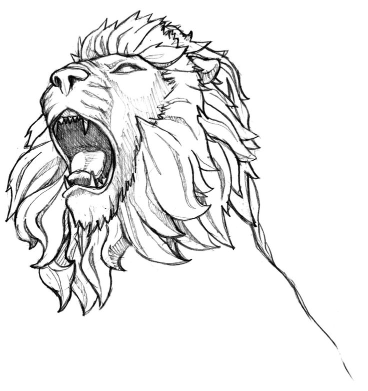 a drawing of a lion's head with its mouth open