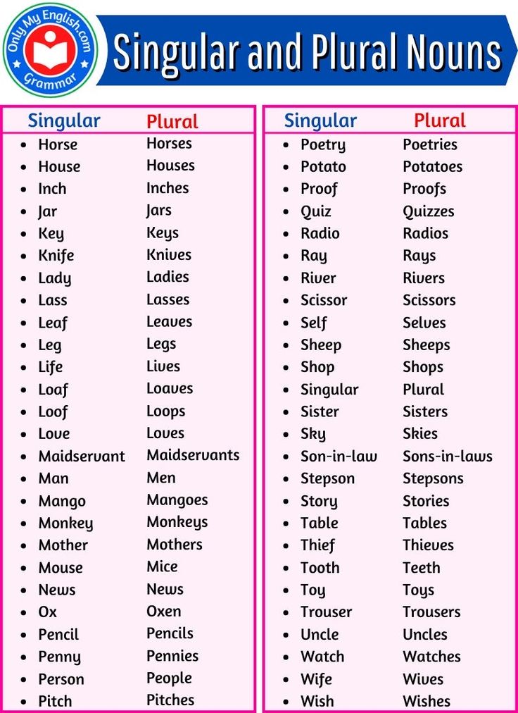 singular and plural nouns worksheet for kids to learn english