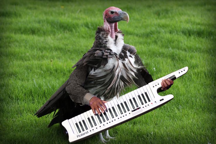 a bird with a long beak holding a musical instrument in its'hands on the grass