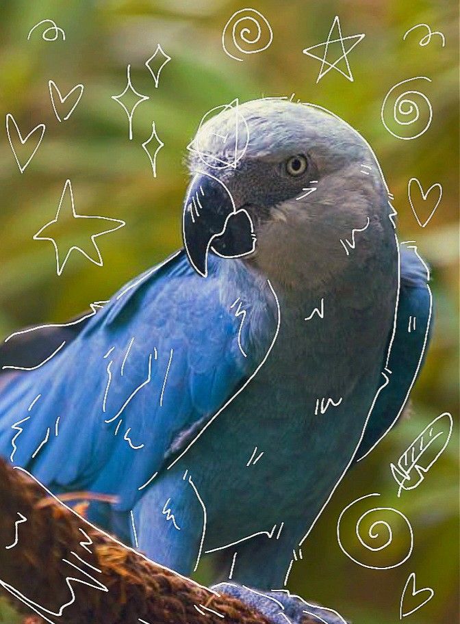 a blue bird sitting on top of a tree branch with stars and hearts around it