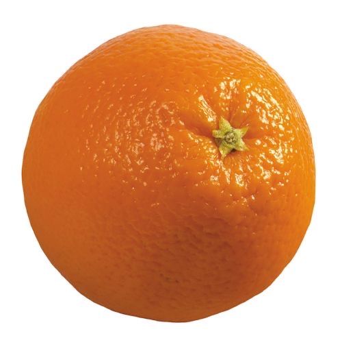 an orange is shown on a white background