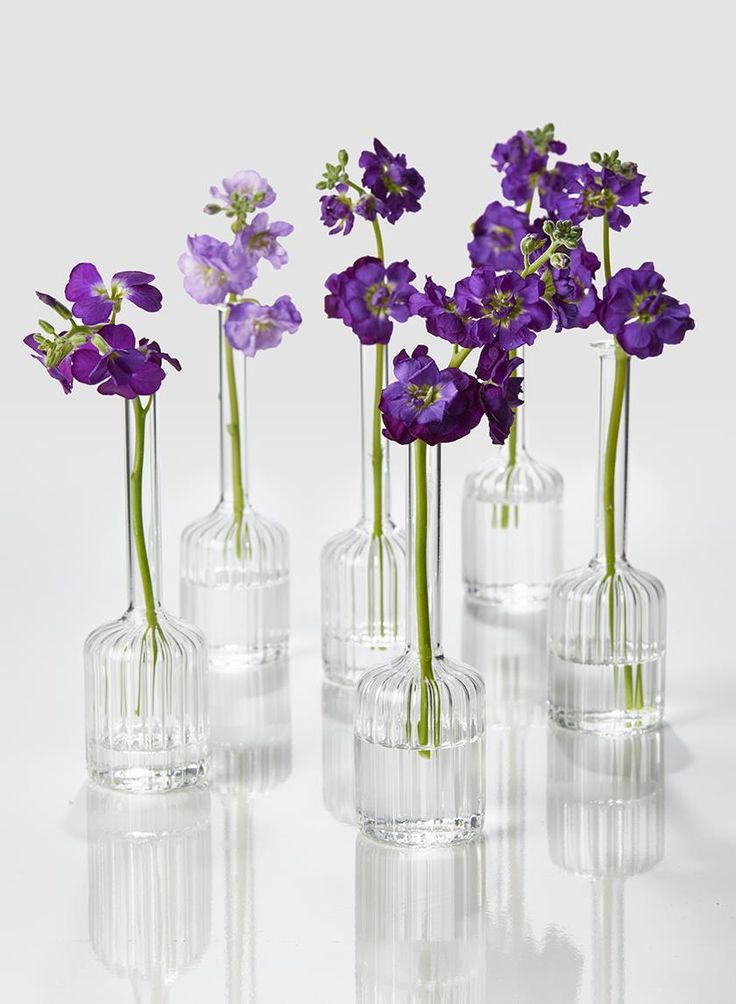 four clear vases with purple flowers in them