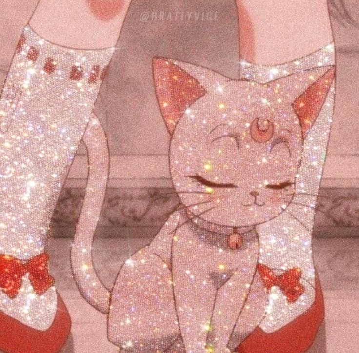 an image of a cat that is wearing red shoes with sparkles on it's feet