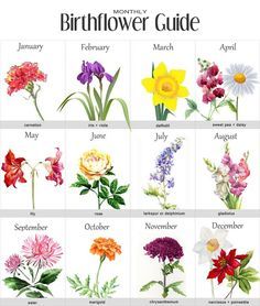 an image of flowers that are blooming in the month of march and may with names