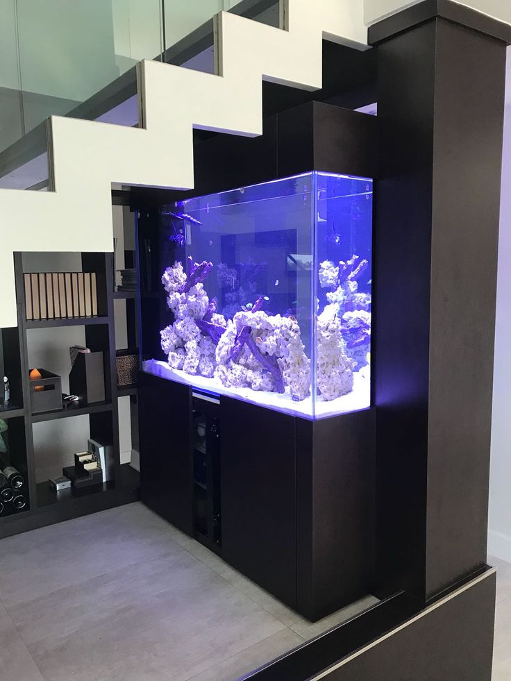 a fish tank sitting on top of a counter