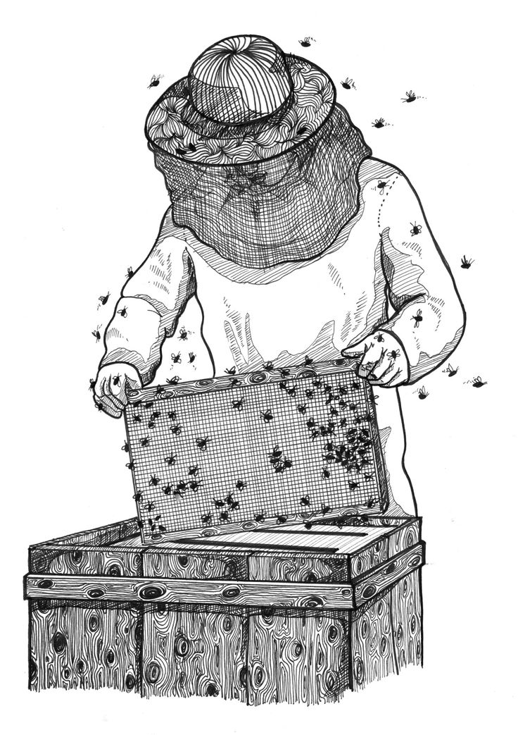 a drawing of a person standing next to an open box with bees flying around it