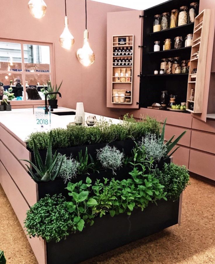 a counter with some plants on it and lights hanging from the ceiling in front of it