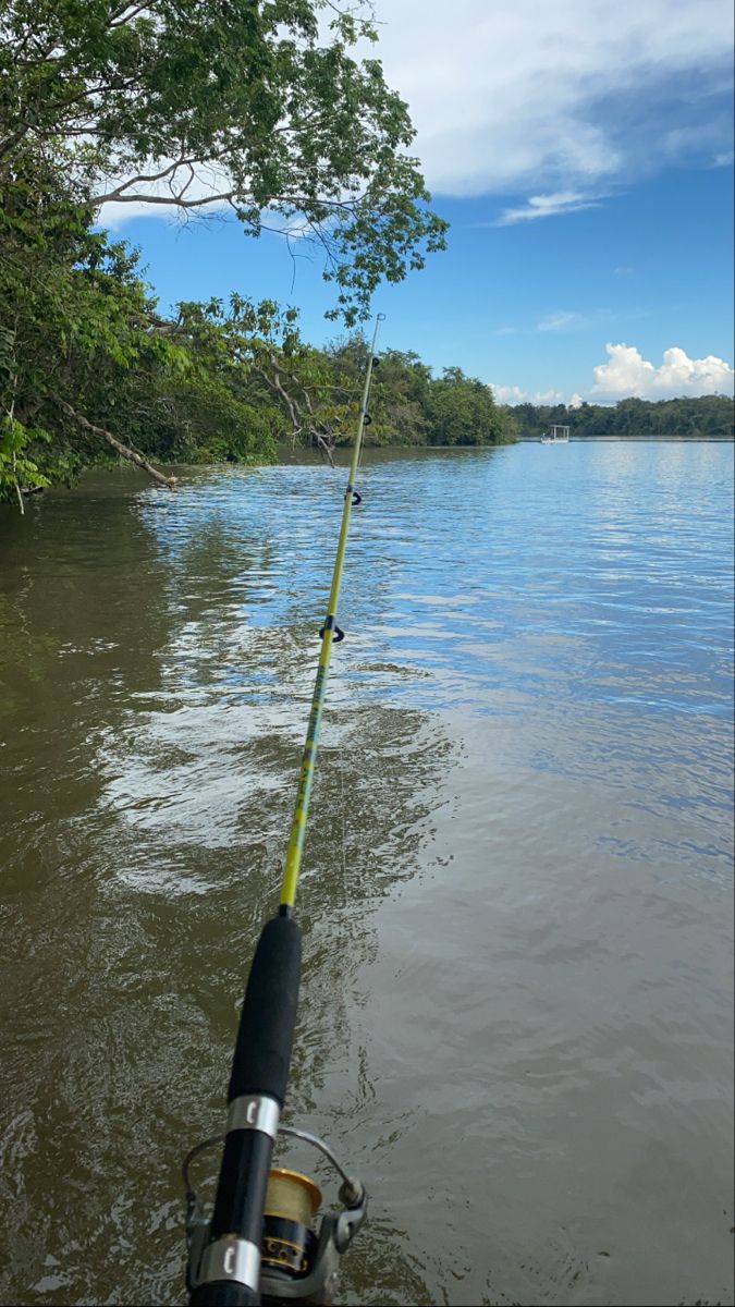 a fishing rod in the water with trees in the background