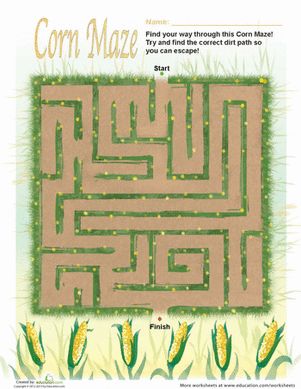 a maze with corn on the cob