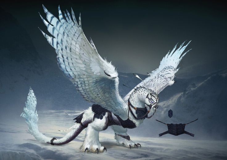 two white and black animals with wings spread out in the snow, one is flying