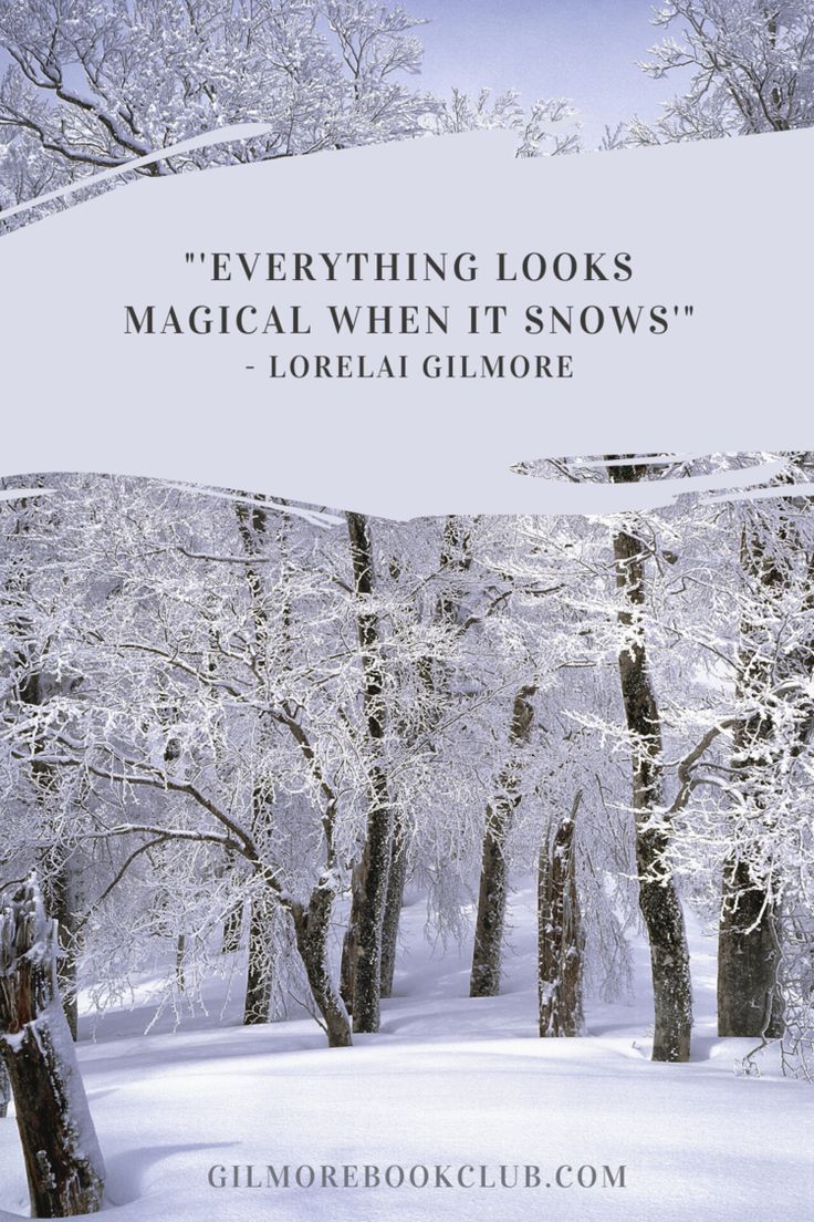 snow covered trees with the quote, everything looks magic when it snows - lorelia gimbore