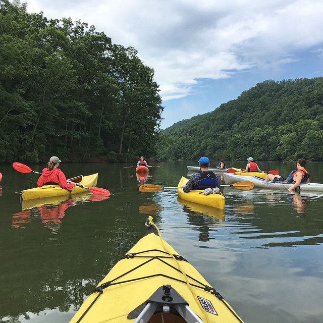 a group of people in kayaks paddling on the water with trees in the background