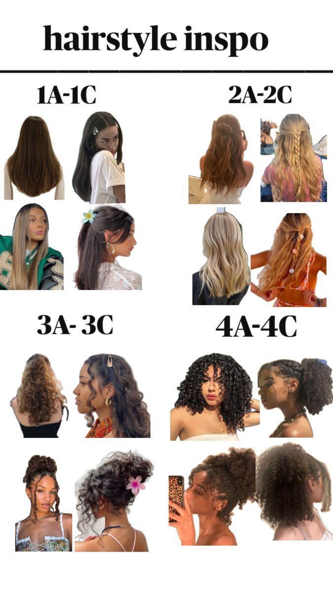 Hairstyle inspo for all hair types, 1a 1b 1c 2a 2b 2c 3a 3b 3c 4a 4b 4c💗 Type 1c Hair, Type 2 Hair, Type 3a Hair, 3b Hair Type, Type 2a Hair, 3c Hair Type, Hair Type Chart, 4a Natural Hair, 3a Hair