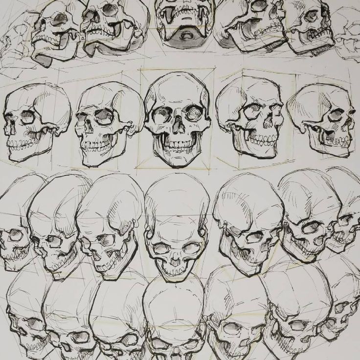 a bunch of skulls that are drawn in black and white ink with different facial expressions