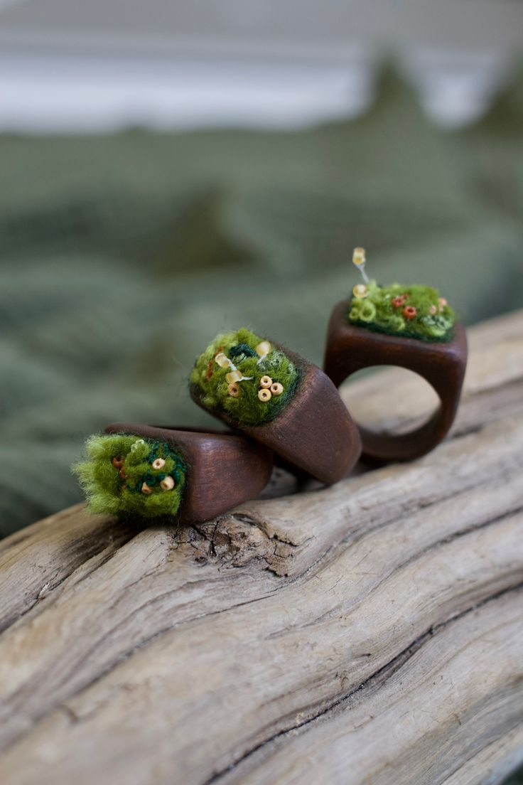 two wooden rings with plants on them sitting on top of a tree branch in the woods