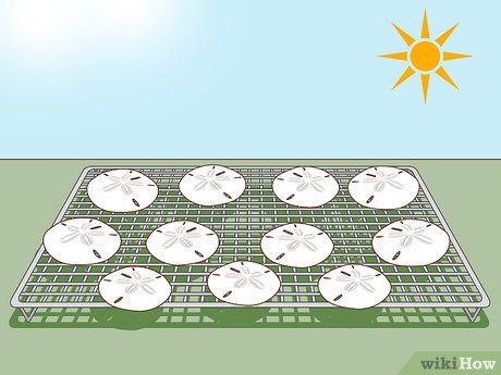 the sun is shining over some white plates on a wire rack in front of a blue sky