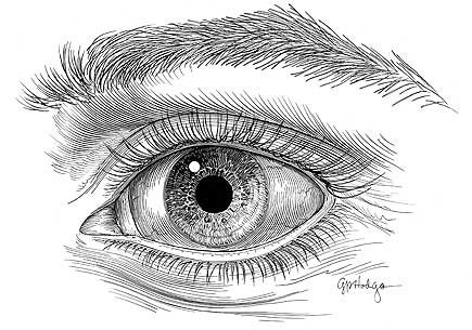 a drawing of an eye with long eyelashes