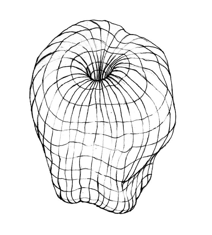 an apple is shown in the shape of a wire mesh pattern on a white background