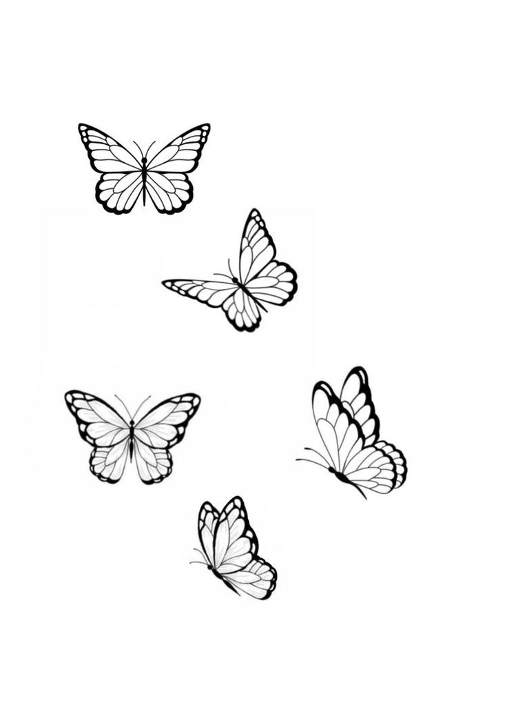 four butterflies flying in the air with one on its back and one on its side