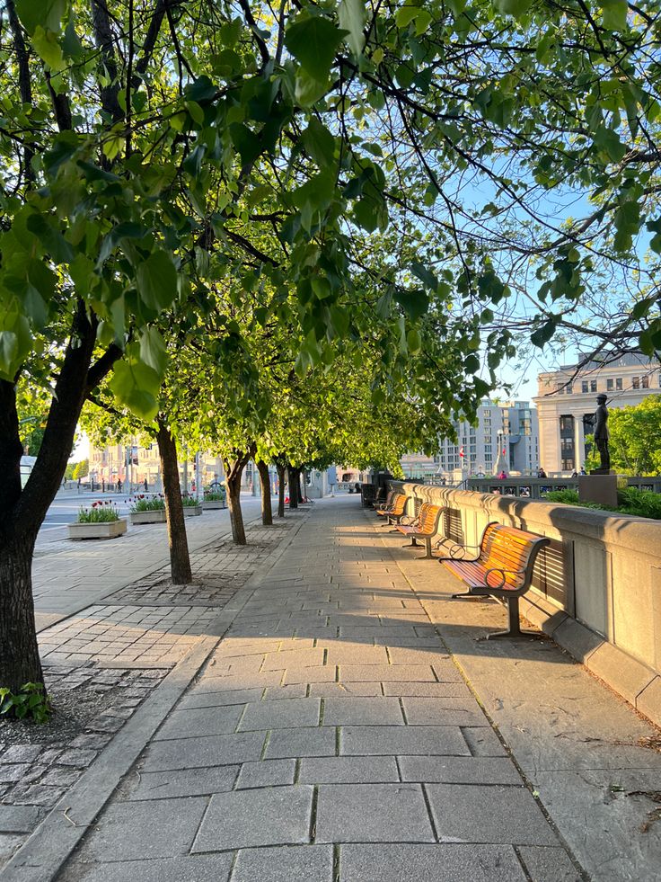 a row of park benches sitting next to each other on a sidewalk in front of trees