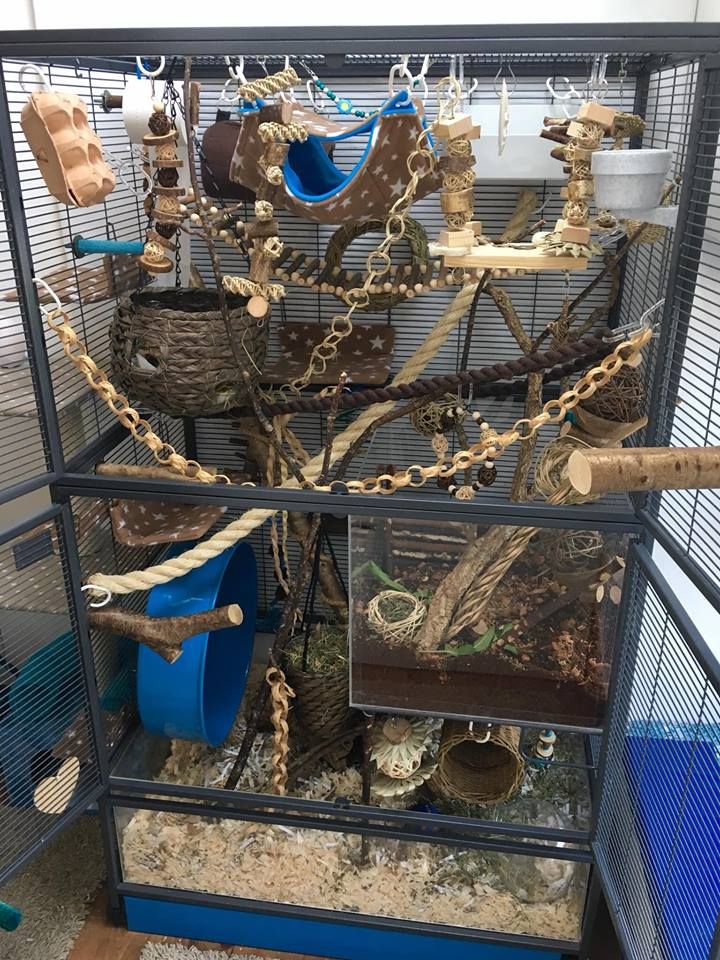 a bird cage filled with lots of birds in it