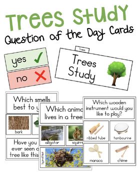 trees study cards with pictures and words to help students understand the different types of trees