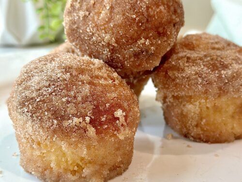 three sugared doughnuts sitting on top of a white plate next to a potted plant