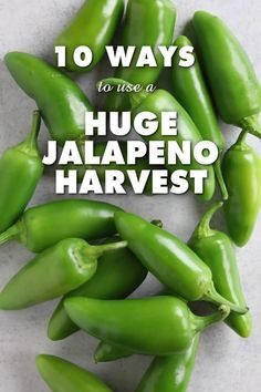 green peppers with the words 10 ways to use a huge jalapeno harvest