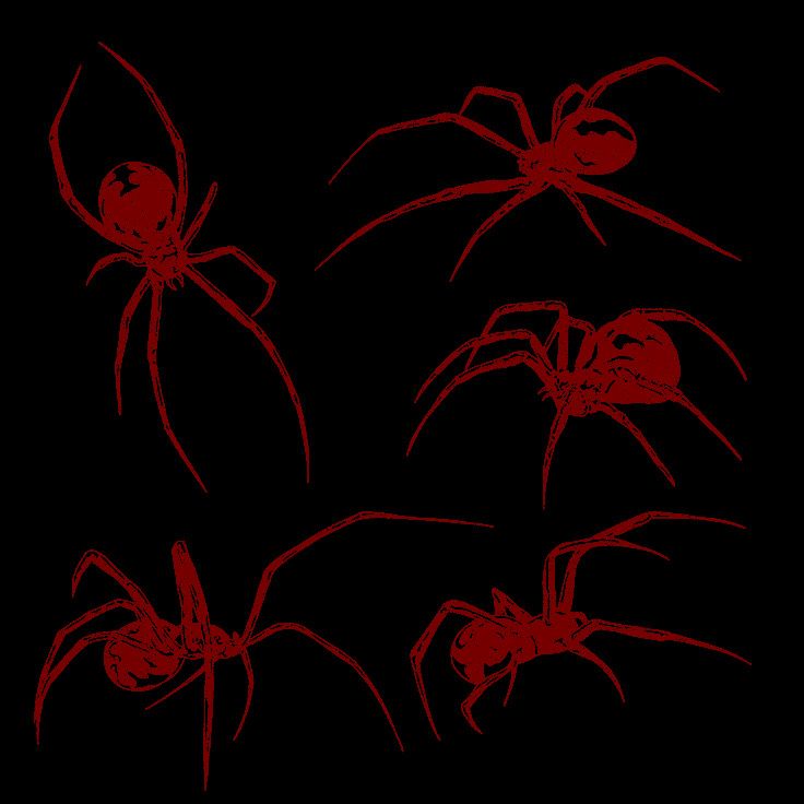 four red spider silhouettes against a black background