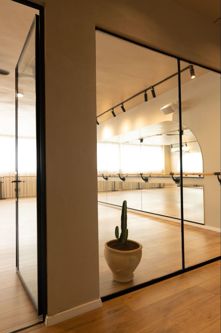 an empty room with a cactus in the center and mirrors on the wall behind it