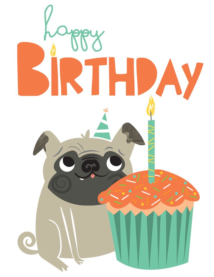 a birthday card with a pug holding a cupcake