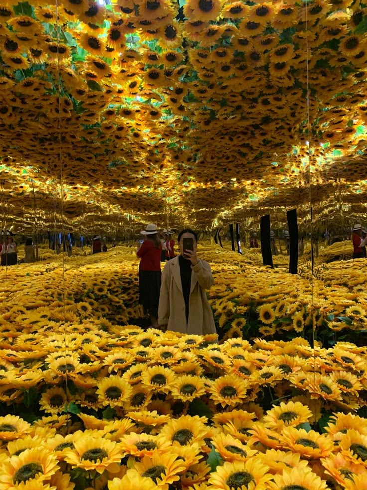 two people are standing in the middle of a field of sunflowers that have been covered with hundreds of yellow flowers