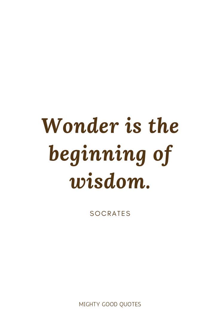 a quote that reads wonder is the beginning of wisdom soctates mighty good quotes