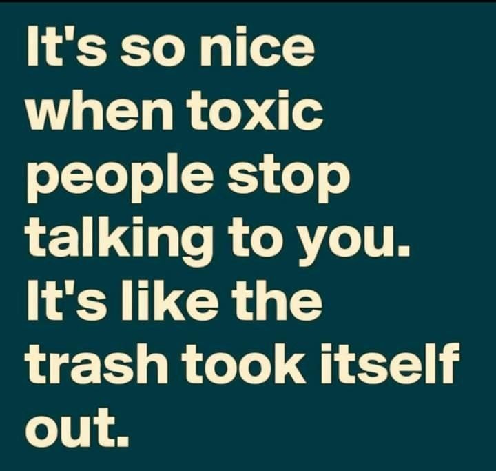 a quote that reads it's so nice when tonic people stop talking to you it's like the trash took itself out