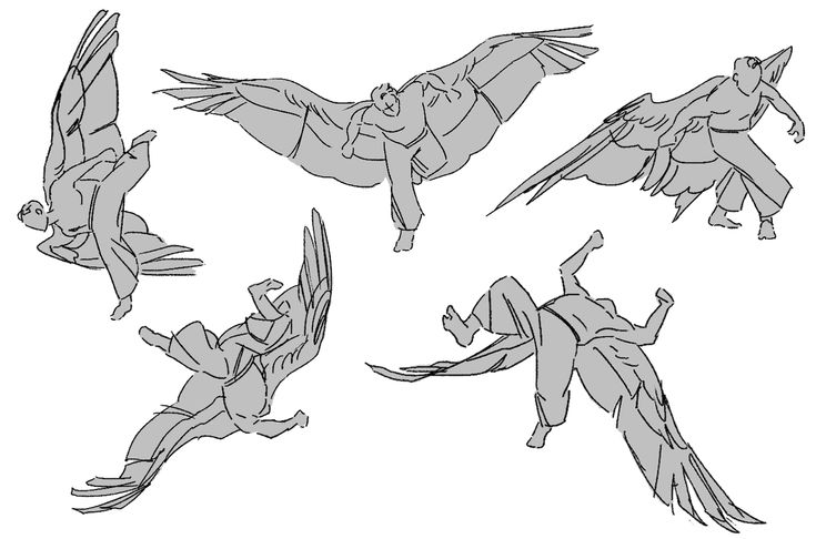 an image of birds flying in the air with their legs spread out and wings extended