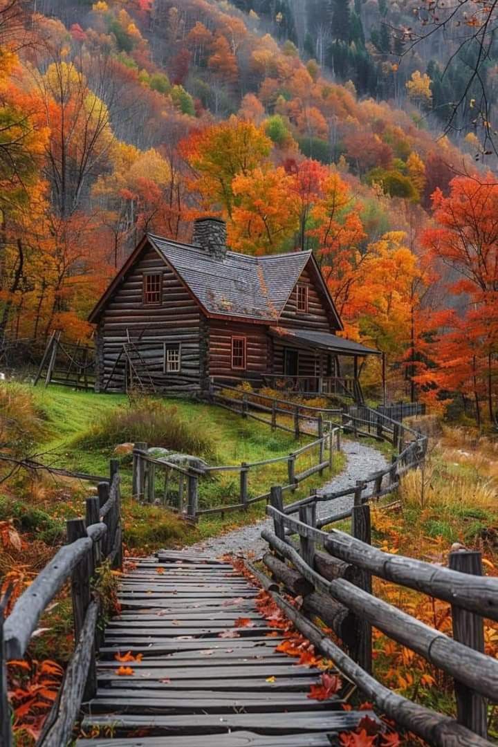 an old log cabin in the woods with fall foliage around it and a wooden walkway leading up to it