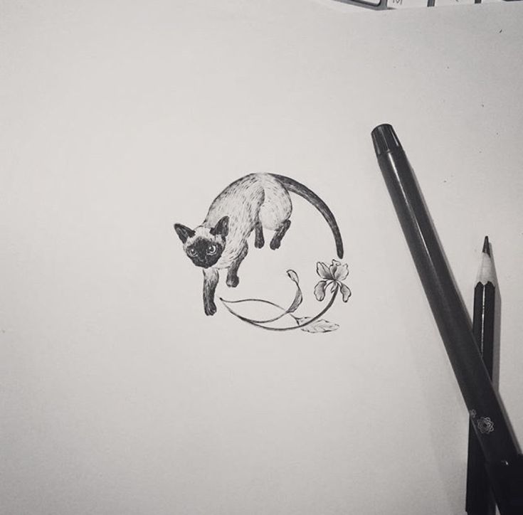 a pencil drawing of a cat on top of a piece of paper next to a pen