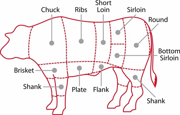 the diagram shows parts of a cow's body, including its names and description