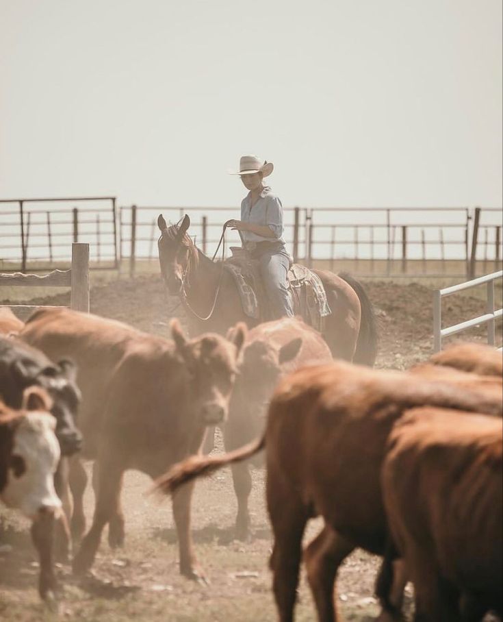 a man riding on the back of a horse next to cattle