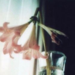 a glass vase with flowers in it sitting on a window sill next to a curtain