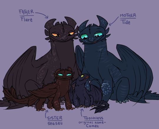 Toothless's Family | How to train your dragon, How train your dragon ...