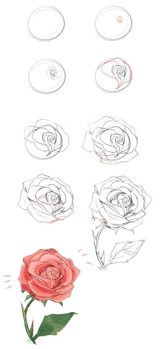 how to draw a rose step by step