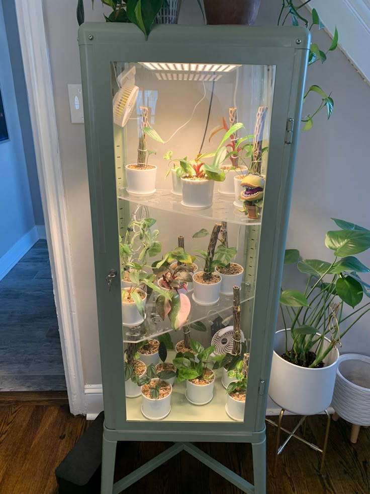 a glass case filled with lots of plants