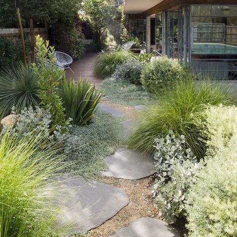 a garden with lots of green plants next to a house