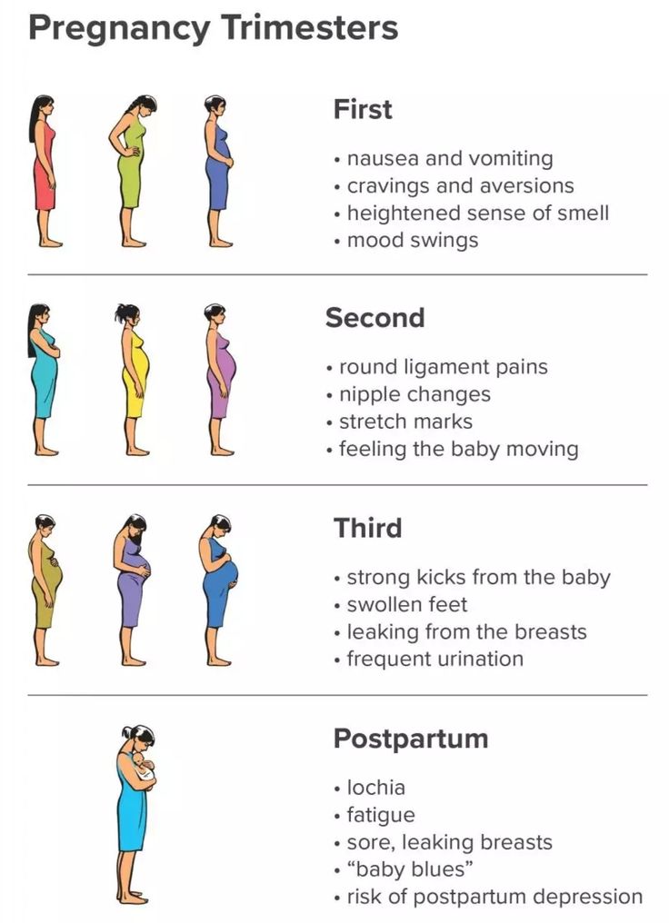 the stages of pregnant women's breasting and how they can help them with their baby