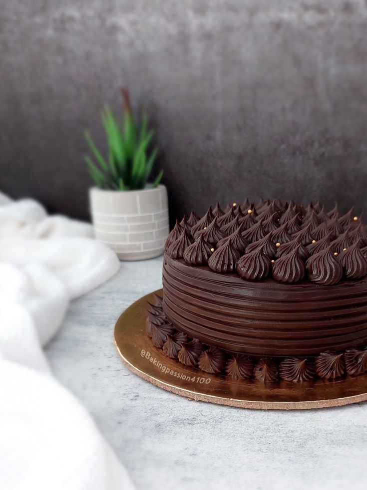 a chocolate cake sitting on top of a wooden plate next to a potted plant