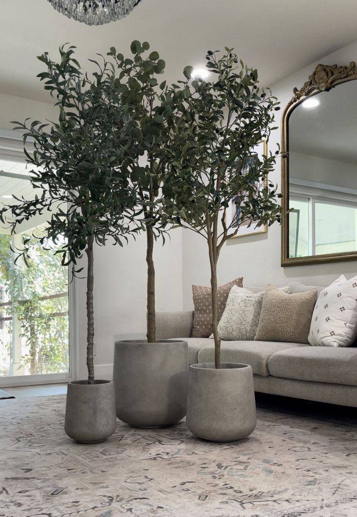 a living room filled with furniture and a tree in the middle of the room on top of a rug