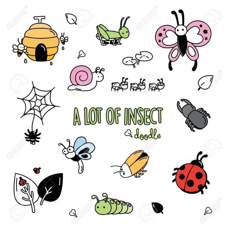 a lot of insect doodles with the words,'a lot of insect doodles